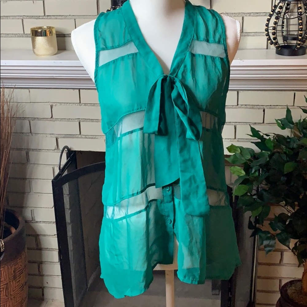 “What’s Hot” sheer blouse w/ tie front